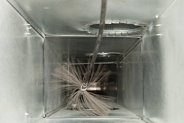 Best Dryer Vent Cleaning Services  in Bremerton, WA